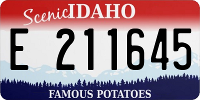ID license plate E211645