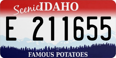 ID license plate E211655