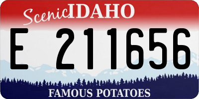 ID license plate E211656