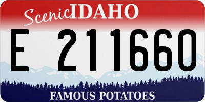 ID license plate E211660