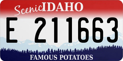 ID license plate E211663