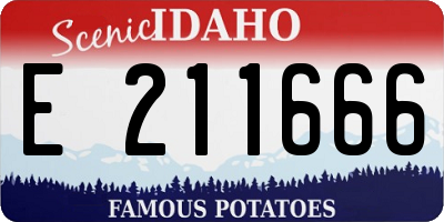 ID license plate E211666