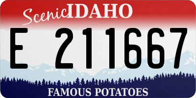 ID license plate E211667