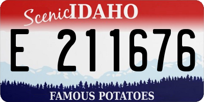 ID license plate E211676