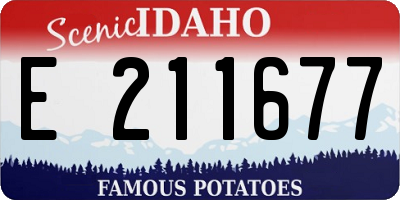 ID license plate E211677