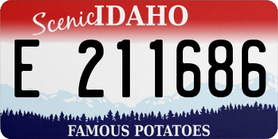 ID license plate E211686