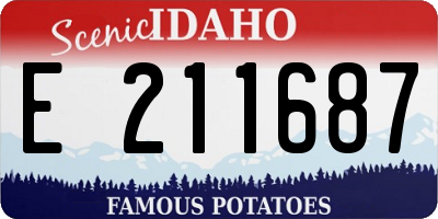 ID license plate E211687