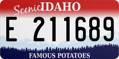 ID license plate E211689