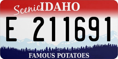 ID license plate E211691