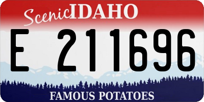 ID license plate E211696
