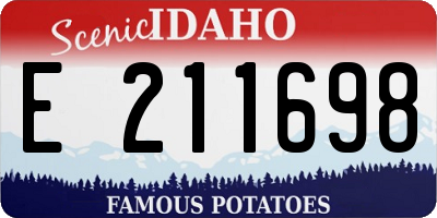 ID license plate E211698