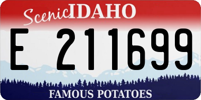 ID license plate E211699