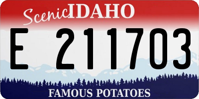 ID license plate E211703