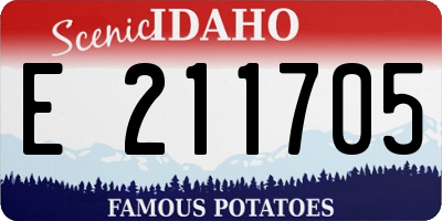 ID license plate E211705
