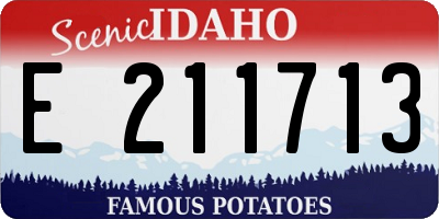 ID license plate E211713