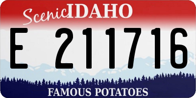 ID license plate E211716