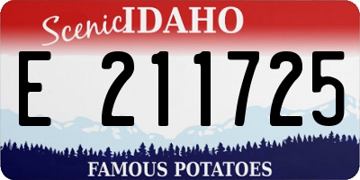 ID license plate E211725
