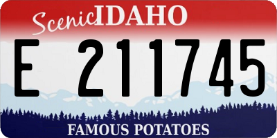 ID license plate E211745