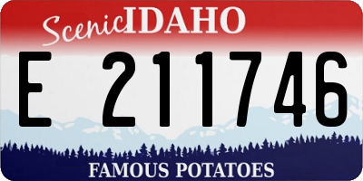 ID license plate E211746