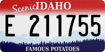 ID license plate E211755