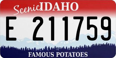 ID license plate E211759
