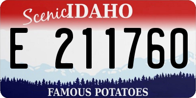 ID license plate E211760
