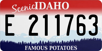 ID license plate E211763