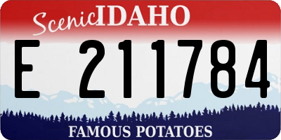 ID license plate E211784