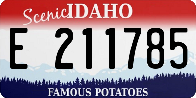 ID license plate E211785