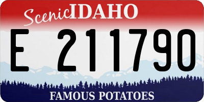 ID license plate E211790