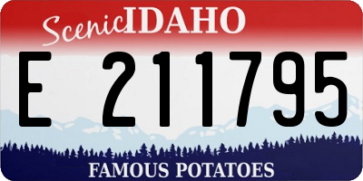 ID license plate E211795