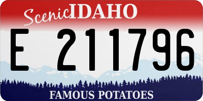 ID license plate E211796