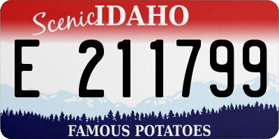 ID license plate E211799