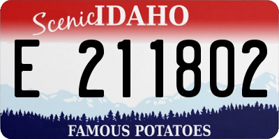 ID license plate E211802