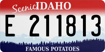 ID license plate E211813