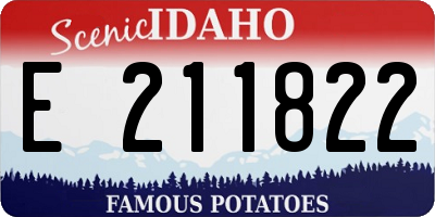 ID license plate E211822