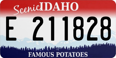 ID license plate E211828