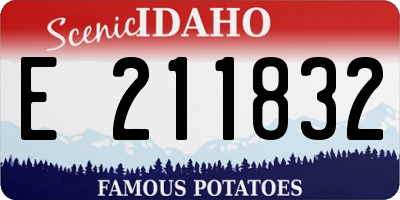 ID license plate E211832