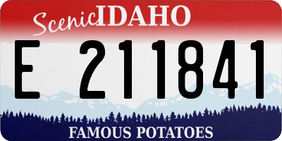 ID license plate E211841