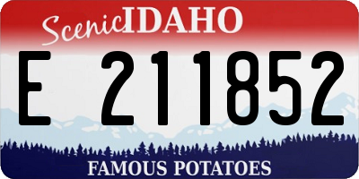 ID license plate E211852