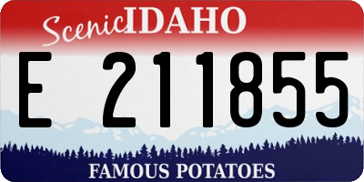 ID license plate E211855