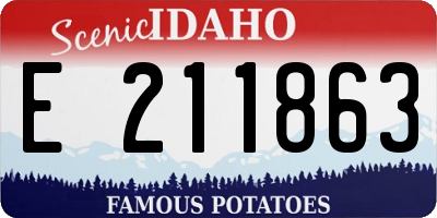 ID license plate E211863