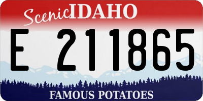 ID license plate E211865
