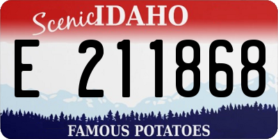 ID license plate E211868