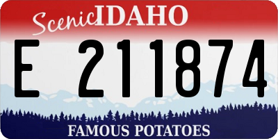 ID license plate E211874