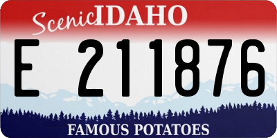 ID license plate E211876