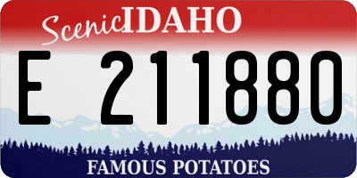 ID license plate E211880