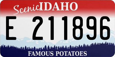 ID license plate E211896