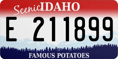 ID license plate E211899