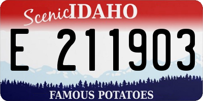 ID license plate E211903